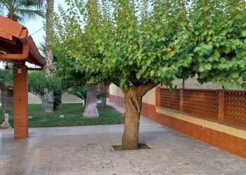 Terrazza - Casa semi indipendente Via Beata M Schininà
 
38, Vittoria - foto 40