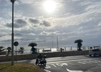 Zona - Bar Tavola Calda - Fredda Andora - foto 10