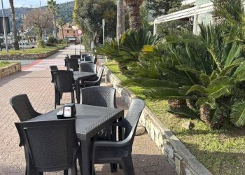 Zona - Bar Tavola Calda - Fredda Andora - foto 11