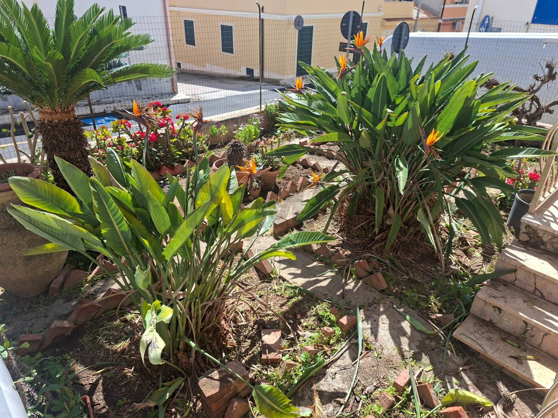 Giardino - Villa VIA BARBICINTI
 
20, Ragusa - foto 1