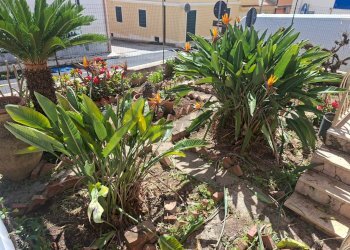 Giardino - Villa VIA BARBICINTI
 
20, Ragusa - foto 1