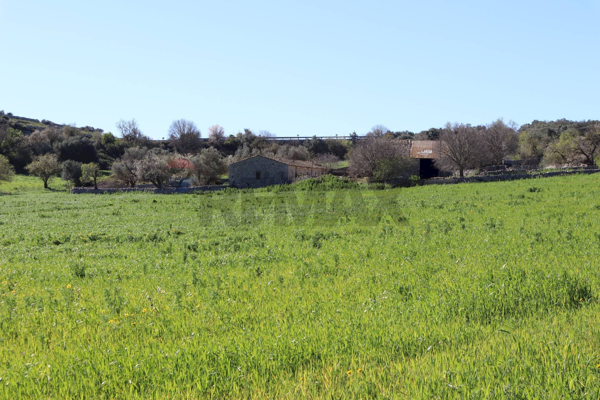 Giardino - Terreno agricolo c.da.Picciona/Nucifora, Ragusa - foto 1