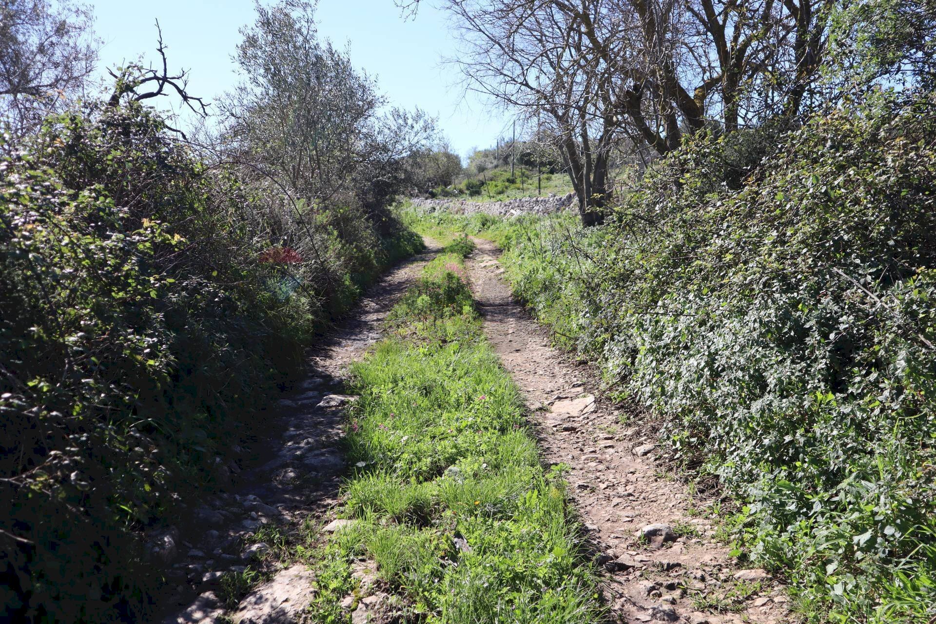 Giardino - Terreno agricolo c.da.Picciona/Nucifora, Ragusa - foto 3