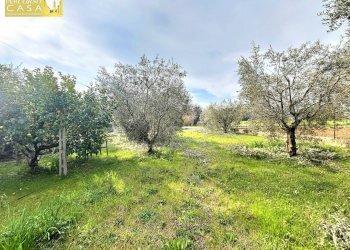 Foto 24 - Quadrilocale Via Metella Nuova, Sant'Omero - foto 24