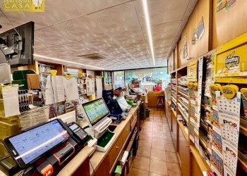 Foto 4 - Attività Commerciale Via Veneto
 
15, Sant'Omero - foto 4