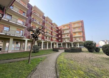 Giardino - Shop via Fossano, 6, Carmagnola - photo 16