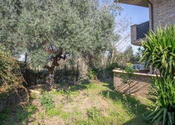 Giardino - Casa semi indipendente via Colle Petrano
 
128, Casalincontrada - foto 8