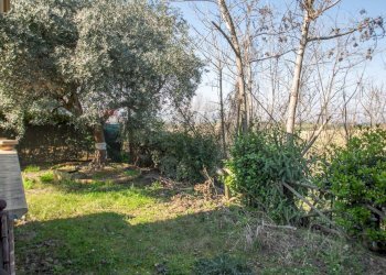 Giardino - Casa semi indipendente via Colle Petrano
 
128, Casalincontrada - foto 9