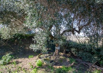 Giardino - Casa semi indipendente via Colle Petrano
 
128, Casalincontrada - foto 10