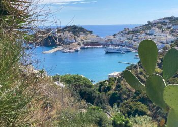 Vista - Casa indipendente via Sopra Giancos, Ponza - foto 15