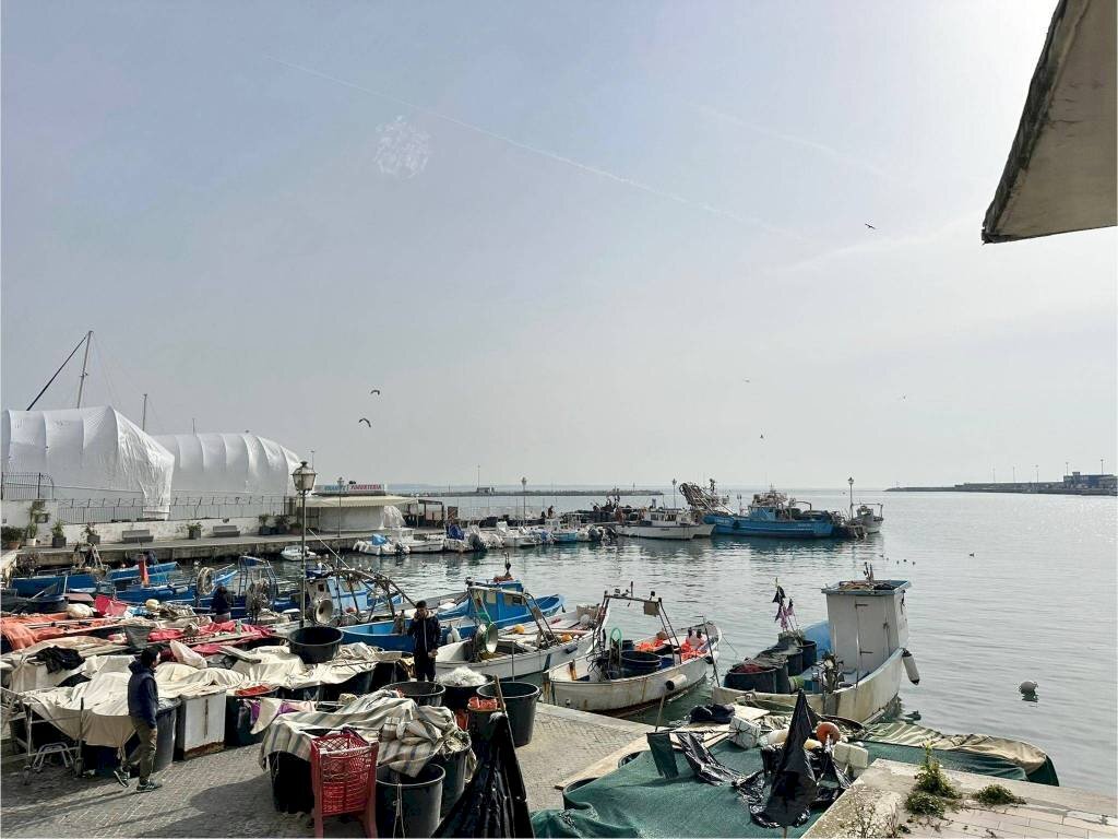 Vista - Negozio corso del Popolo, Anzio - foto 1