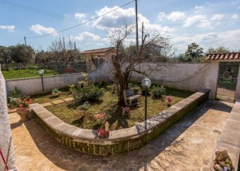 Giardino - Villa Via Colle Caroso, Palestrina - foto 25