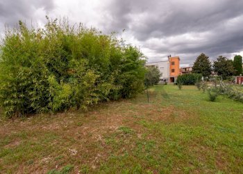 Giardino - Terreno agricolo Via Gaggi
10, Roma - foto 5