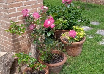 Foto 28 - Villa STRADA PRIVATA II
 
6, Guardiagrele - foto 28