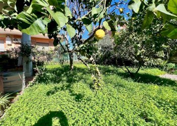 Giardino - Villa via Armando Angelini, Ladispoli - foto 8