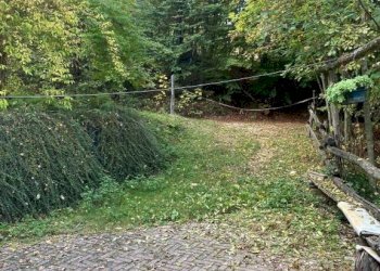 Terreno - Rustico via Marsaglia, Torre Mondovì - foto 5