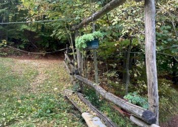 Terreno - Rustico via Marsaglia, Torre Mondovì - foto 11