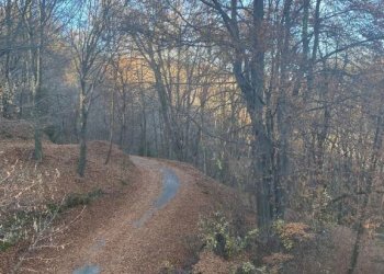 Terreno - Rustico via Marsaglia, Torre Mondovì - foto 13