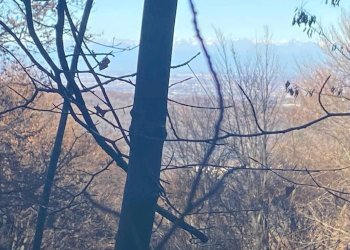 Terreno - Rustico via Marsaglia, Torre Mondovì - foto 23