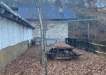 Terreno - Rustico via Marsaglia, Torre Mondovì - foto 24