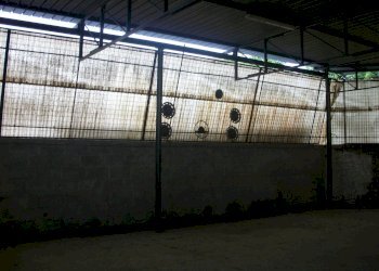 Foto 6 - Magazzino via lenin
 
12, San Giuliano Terme - foto 6