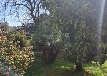 Giardino - Villa via Costa d'Arco, San Giorgio del Sannio - foto 19