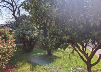 Giardino - Villa via Costa d'Arco, San Giorgio del Sannio - foto 30