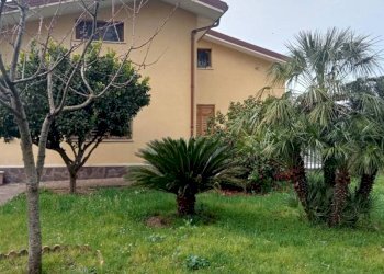 Giardino - Villa via Costa d'Arco, San Giorgio del Sannio - foto 34