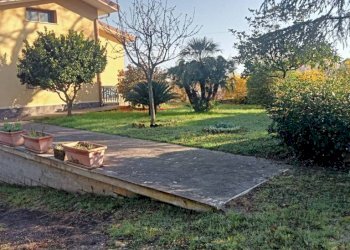 Giardino - Villa via Costa d'Arco, San Giorgio del Sannio - foto 39