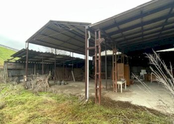 Altro - Rustico via Vecchia Bagliani, 60, Alessandria - foto 10