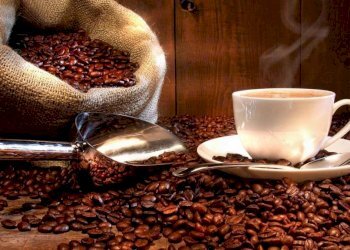 Altro - Bar Tavola Calda - Fredda Orbassano - foto 2