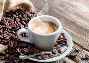 Altro - Bar Tavola Calda - Fredda Orbassano - foto 3