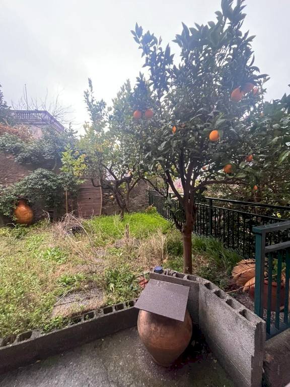 Giardino - Trilocale Genova (zona Sampierdarena) - foto 3