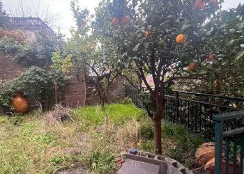 Giardino - Trilocale Genova (zona Sampierdarena) - foto 3