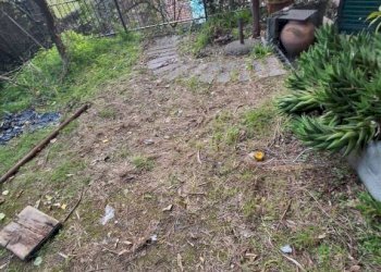 Giardino - Trilocale Genova (zona Sampierdarena) - foto 41