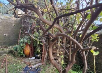 Terreno - Trilocale Genova (zona Sampierdarena) - foto 43