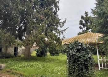 Foto 17 - Villa a Schiera via del brennero
 
316, Lucca - foto 17