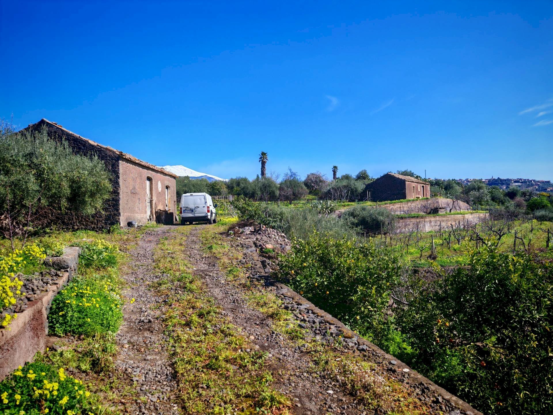 Foto 1 - Terreno agricolo Santa Maria di Licodia - foto 1
