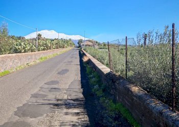 Foto 10 - Terreno agricolo Santa Maria di Licodia - foto 10