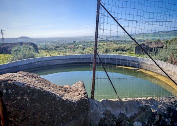 Foto 11 - Terreno agricolo Santa Maria di Licodia - foto 11