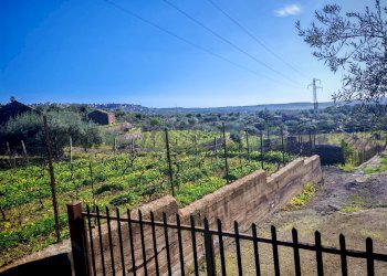 Foto 4 - Terreno agricolo Santa Maria di Licodia - foto 4