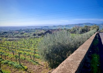 Foto 6 - Terreno agricolo Santa Maria di Licodia - foto 6