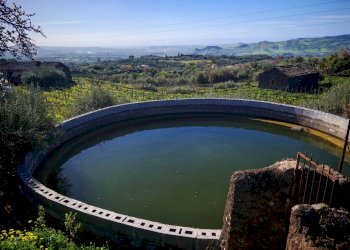 Foto 7 - Terreno agricolo Santa Maria di Licodia - foto 7