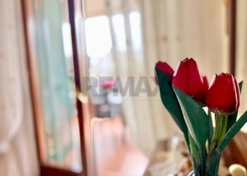 Dettagli - Trilocale VIA GIORDANO BRUNO
 
24, Marano di Napoli - foto 7