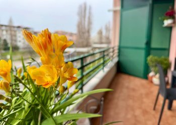 Dettagli - Trilocale VIA GIORDANO BRUNO
 
24, Marano di Napoli - foto 17