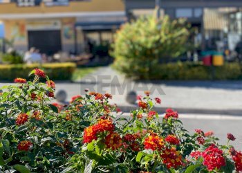 Dettagli - Bilocale VICO SCONDITI
 
1, Marano di Napoli - foto 32