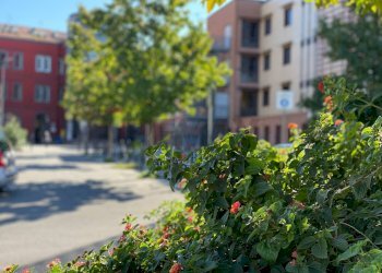 Edificio all\'aperto - Bilocale VICO SCONDITI
 
1, Marano di Napoli - foto 33
