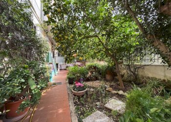 Giardino - Quadrilocale via Francesco Ripandelli, Roma - foto 29