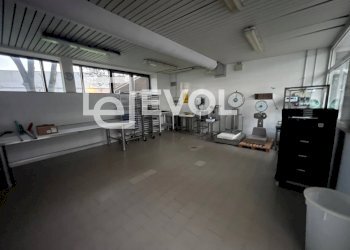 Foto 17 - Capannone via Giovanni Antonio Pilacorte
 
13, Fagagna - foto 17