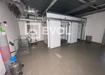 Foto 19 - Capannone via Giovanni Antonio Pilacorte
 
13, Fagagna - foto 19